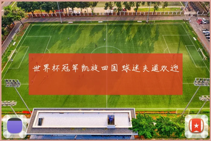 世界杯冠军凯旋回国 球迷夹道欢迎