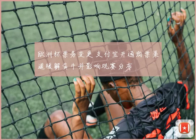 欧洲杯票务变更 支付宝开通购票渠道缓解黄牛并影响观赛分布